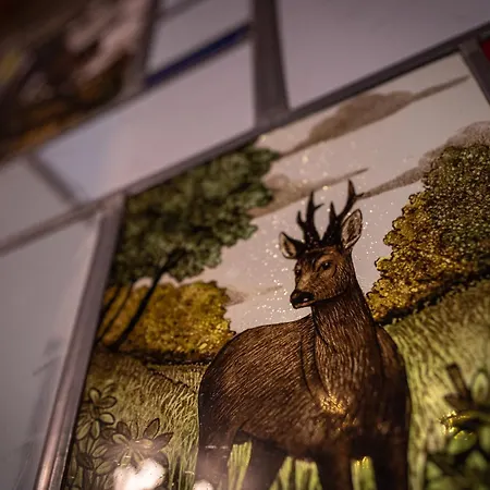 בית נופש Jachthuus *