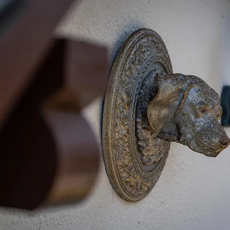 בית נופש Jachthuus