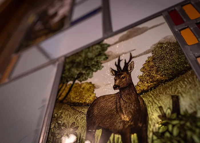 度假居 Jachthuus *